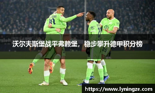 沃尔夫斯堡战平弗赖堡，稳步攀升德甲积分榜