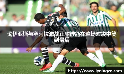 戈伊亚斯与塞阿拉激战正酣谁能在这场对决中笑到最后